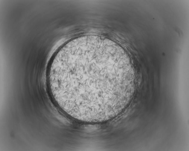 X0000111150102200907281140