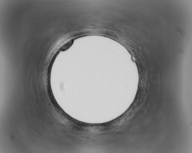 X0000111150103200907281140