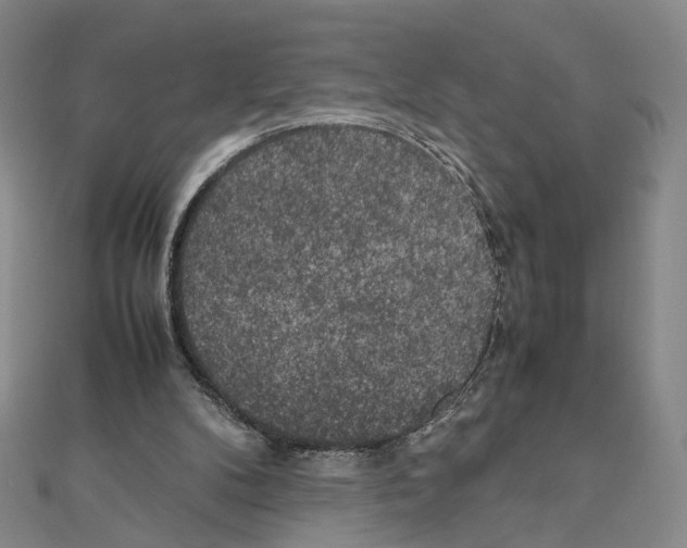 X0000111150104200907281140