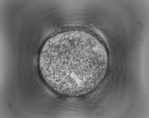 X0000111150105200907281140