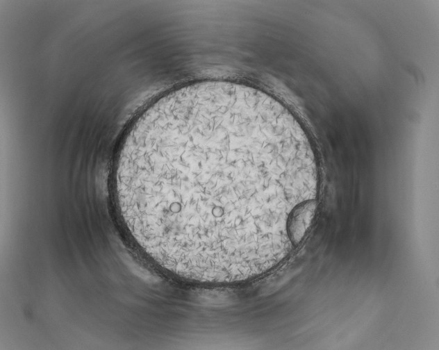 X0000111150106200907281140