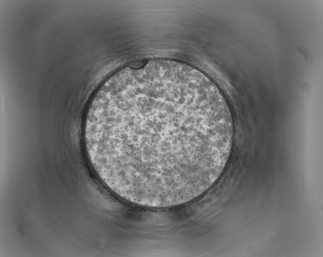 X0000111150107200907281140