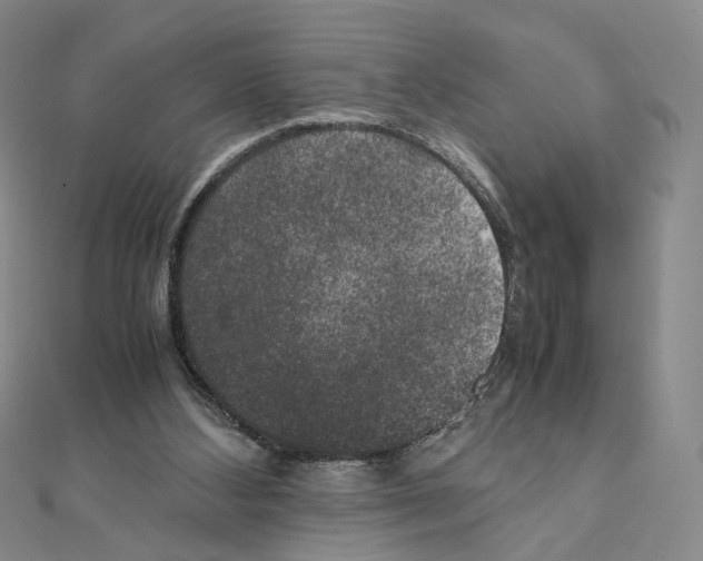 X0000111150108200907281140