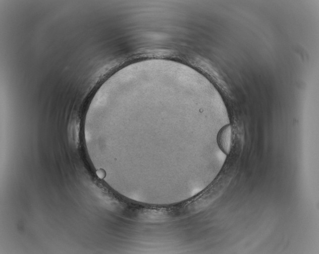 X0000111150110200907281140