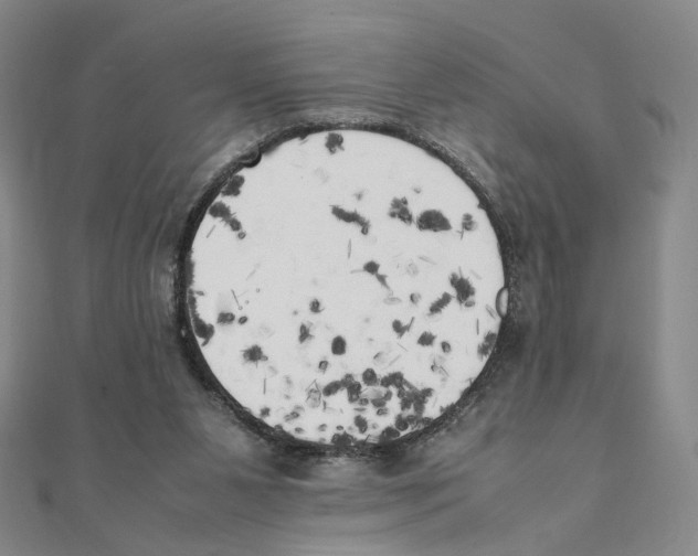 X0000111150111200907281140