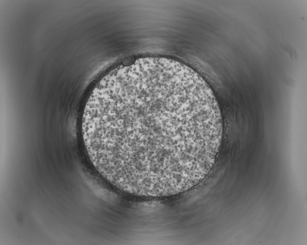 X0000111150112200907281140