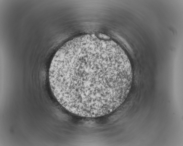 X0000111150113200907281140