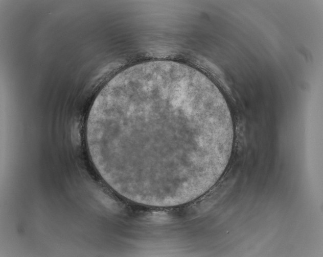 X0000111150114200907281140