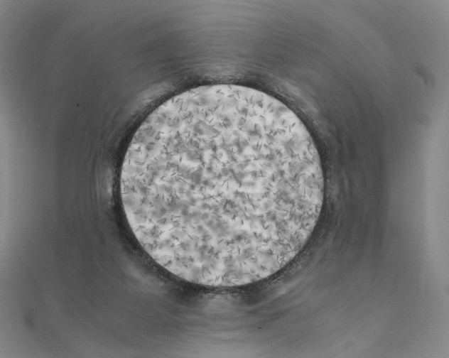 X0000111150115200907281140