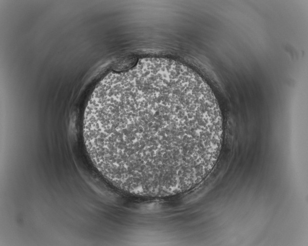 X0000111150116200907281140