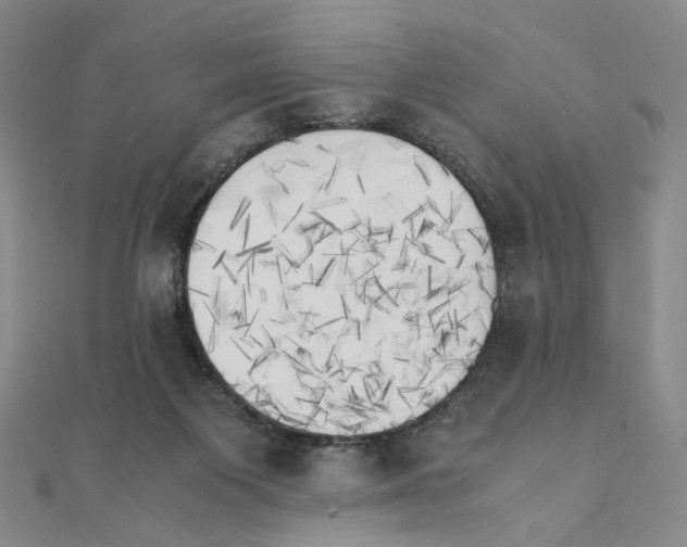 X0000111150119200907281140