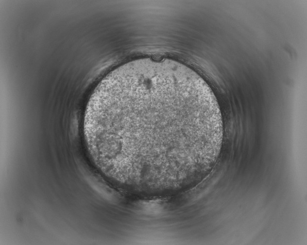 X0000111150120200907281140