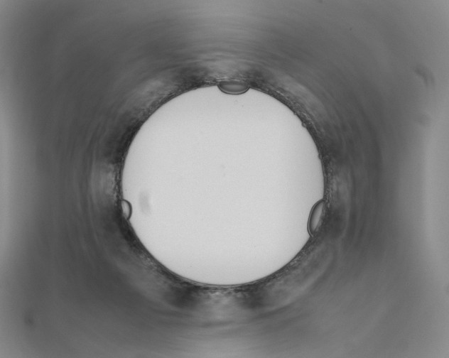 X0000111150121200907281140