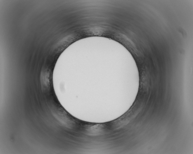 X0000111150122200907281140