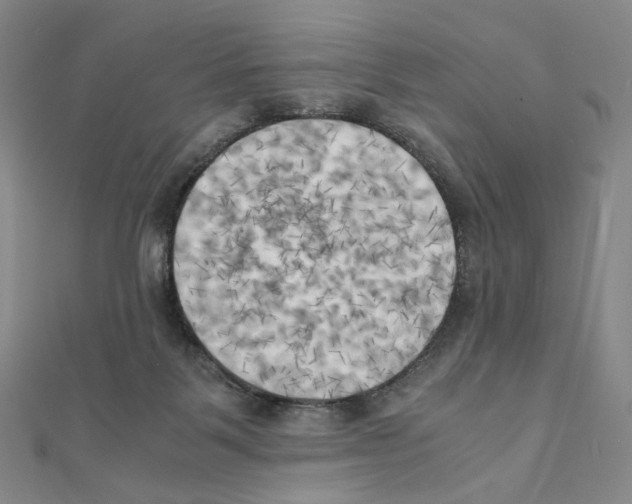 X0000111150123200907281140