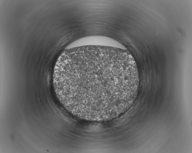 X0000111150124200907281140