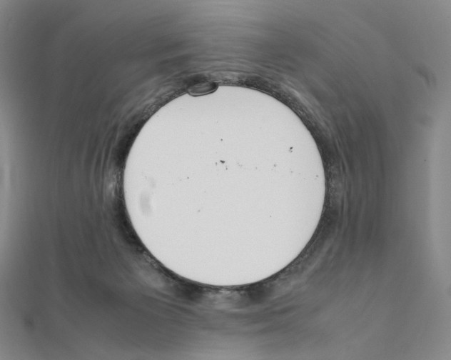 X0000111150125200907281140