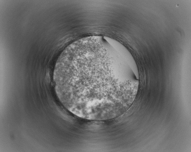 X0000111150128200907281140