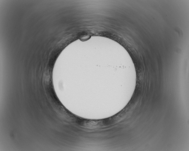 X0000111150129200907281140