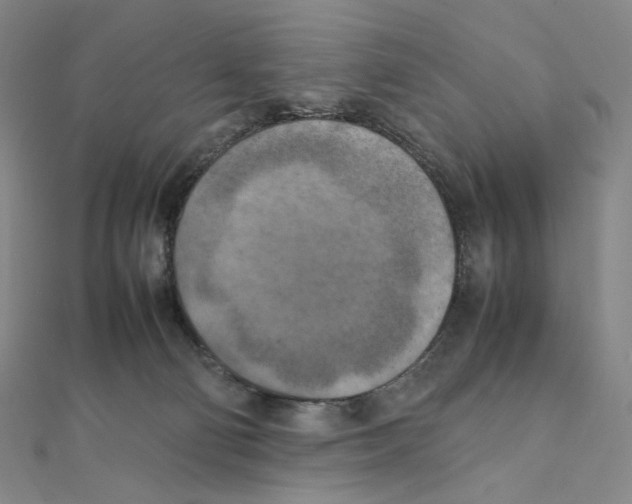 X0000111150130200907281140