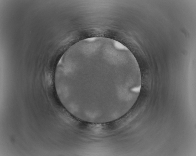 X0000111150131200907281140