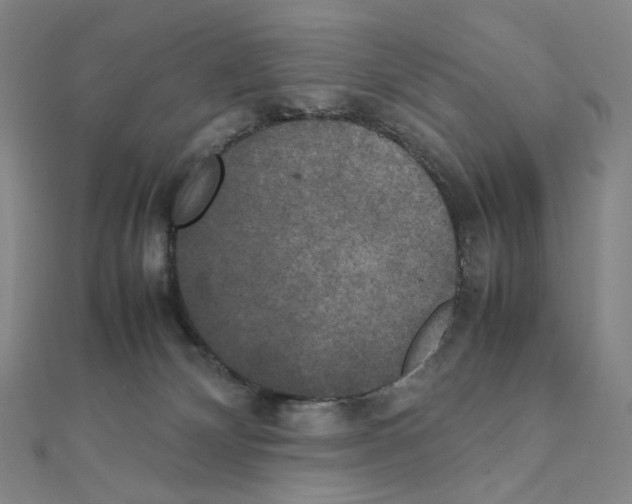 X0000111150132200907281140