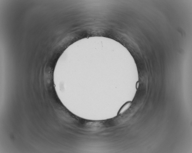 X0000111150133200907281140