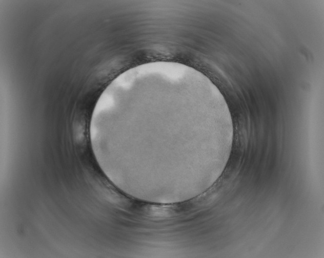 X0000111150134200907281140