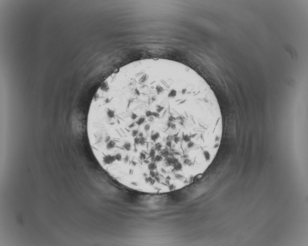 X0000111150135200907281140