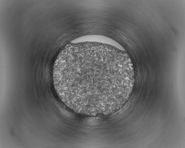 X0000111150136200907281140