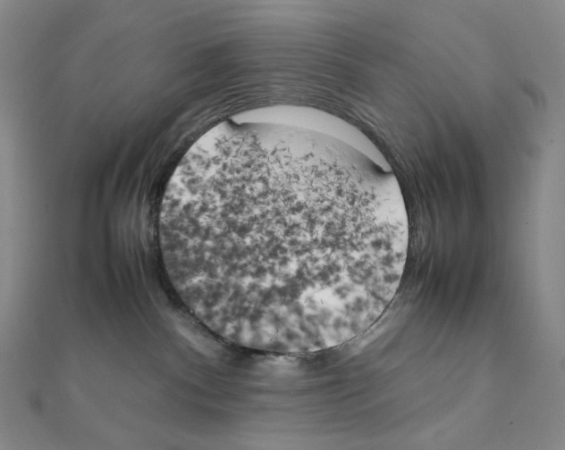 X0000111150140200907281140