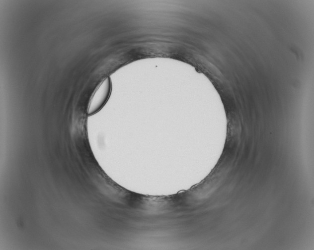 X0000111150141200907281140