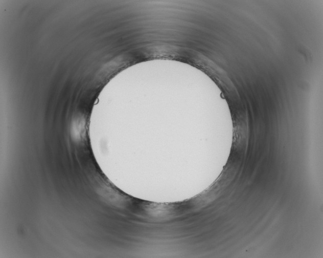 X0000111150142200907281140