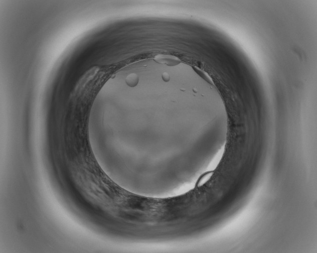 X0000111150143200907281140