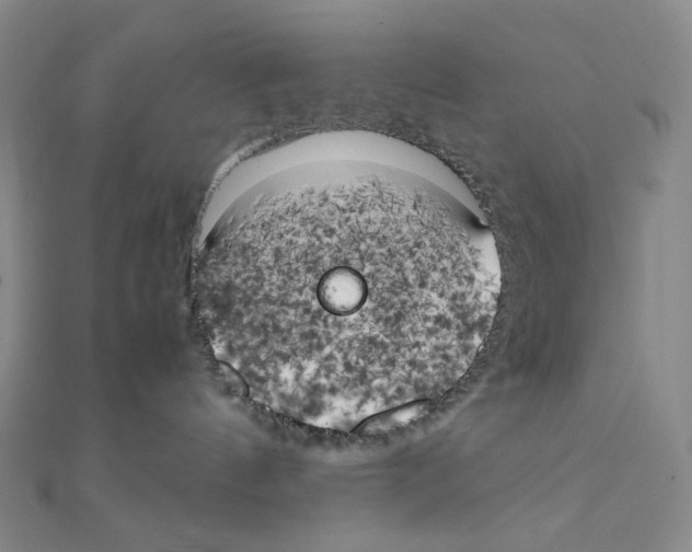 X0000111150144200907281140