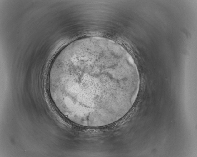 X0000111150145200907281139