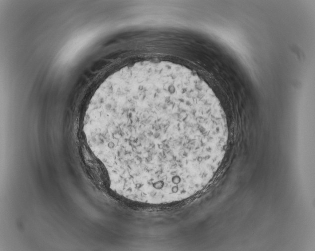 X0000111150146200907281139