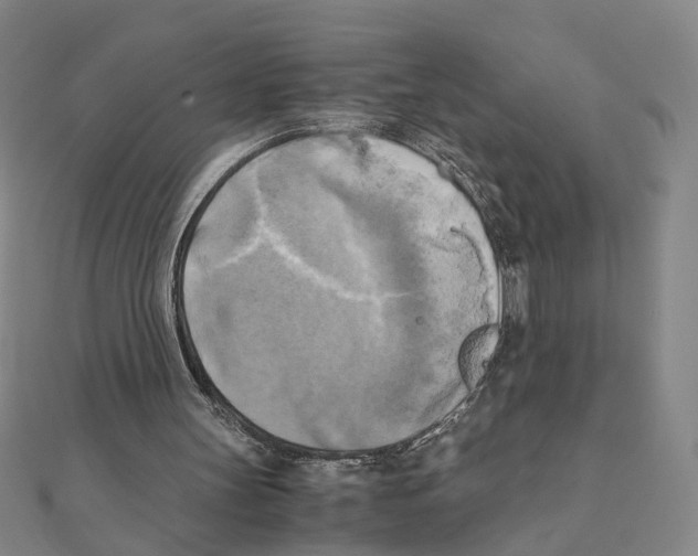 X0000111150147200907281139