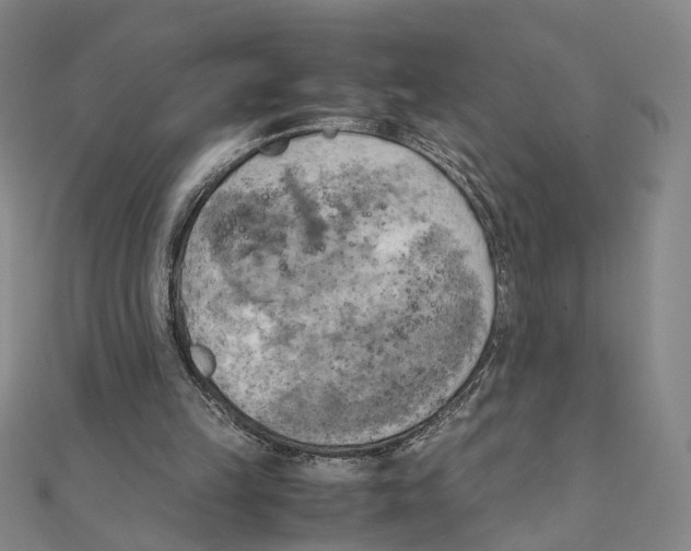 X0000111150149200907281139