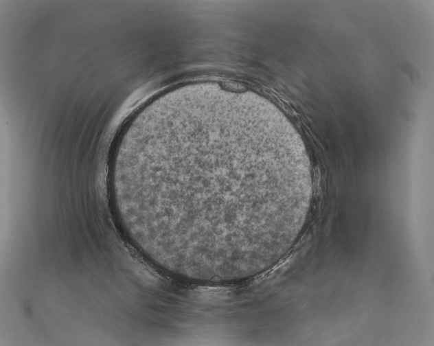 X0000111150150200907281139