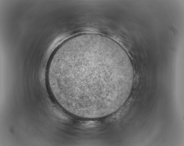 X0000111150151200907281139