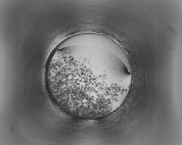 X0000111150152200907281139