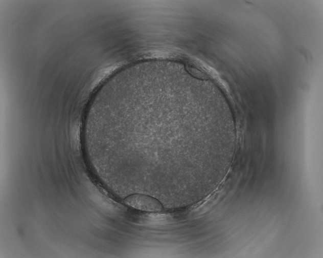 X0000111150154200907281139