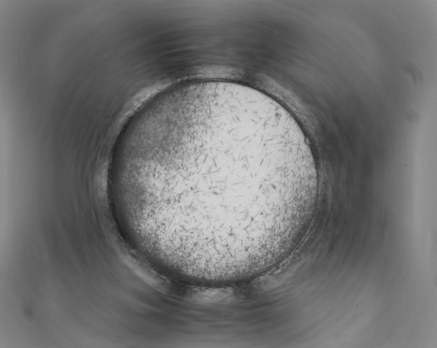 X0000111150155200907281139