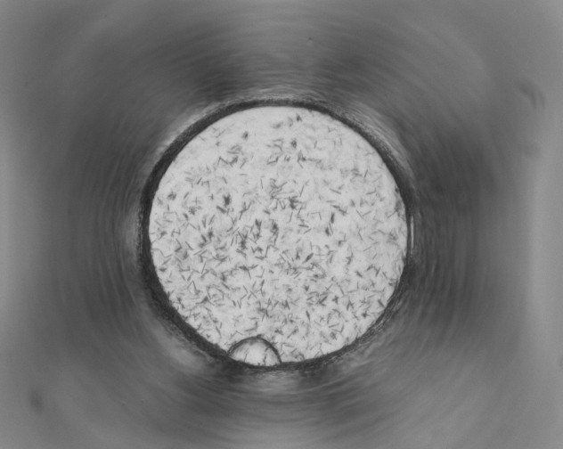 X0000111150156200907281139