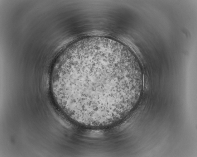 X0000111150157200907281139