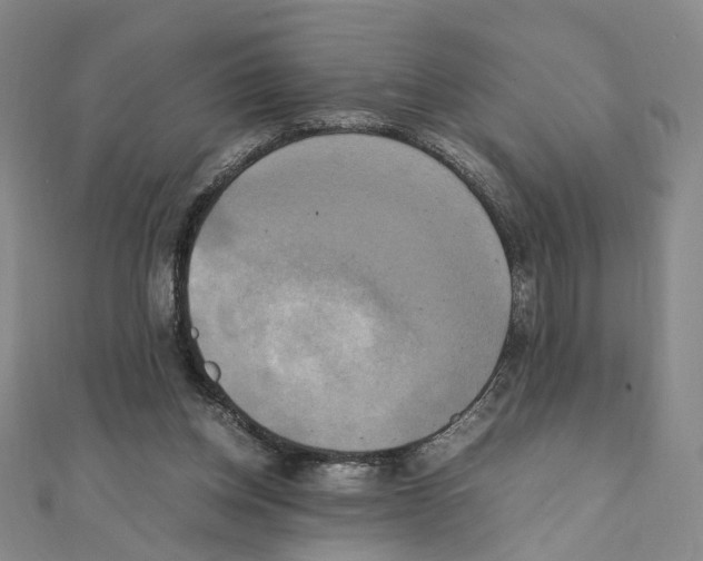 X0000111150158200907281140