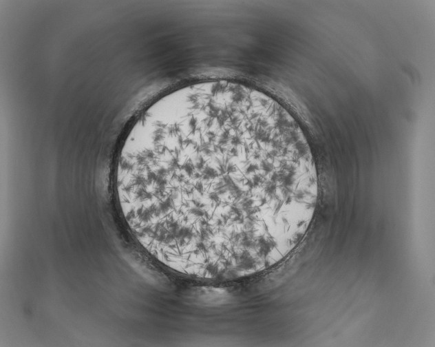 X0000111150159200907281140