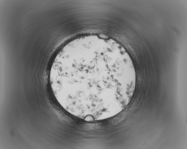 X0000111150160200907281140