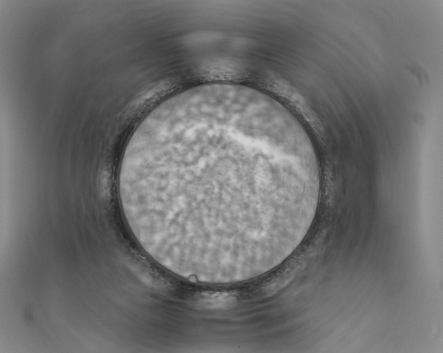 X0000111150161200907281140